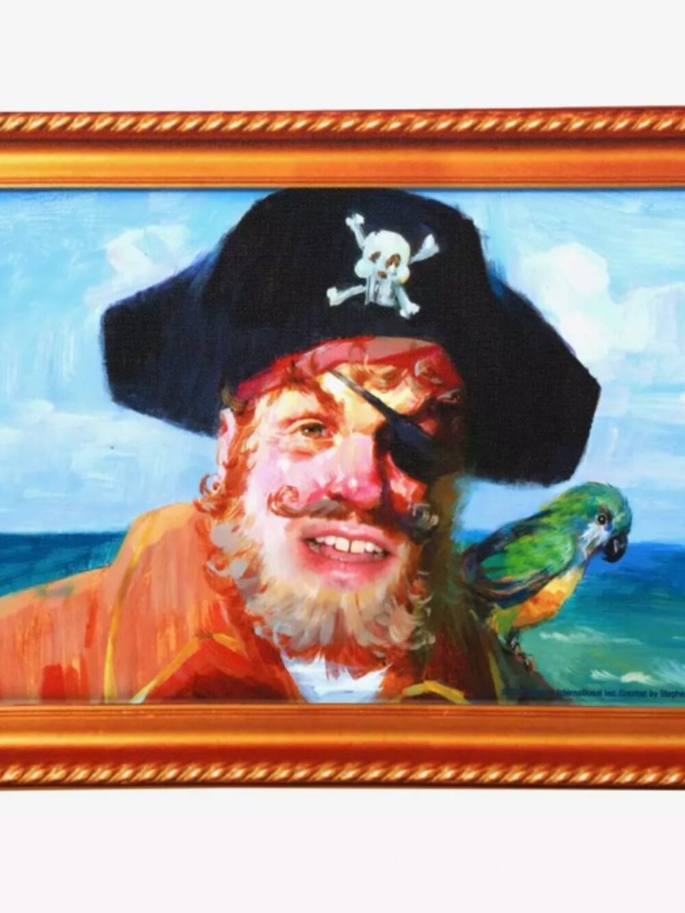 Spongebob Captain Painting